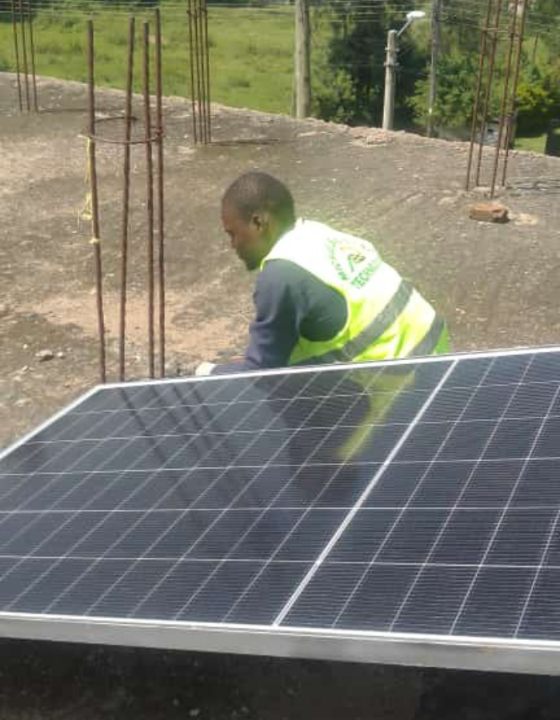 Untitled design (53)