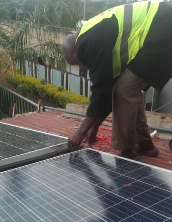 Untitled design (61)