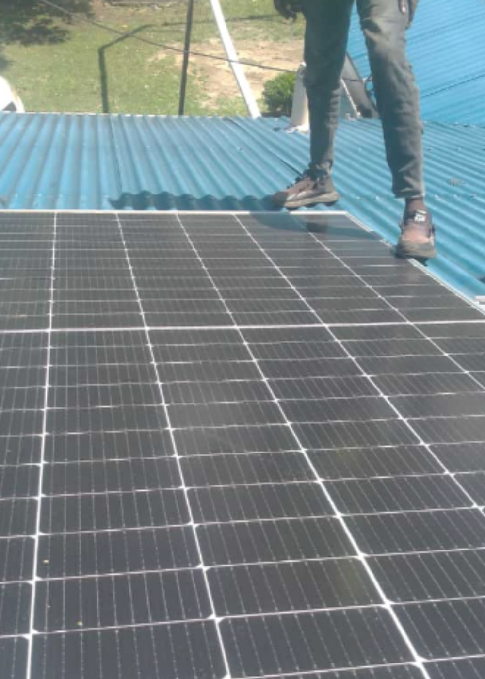 Untitled design - 2024-11-30T122336.569