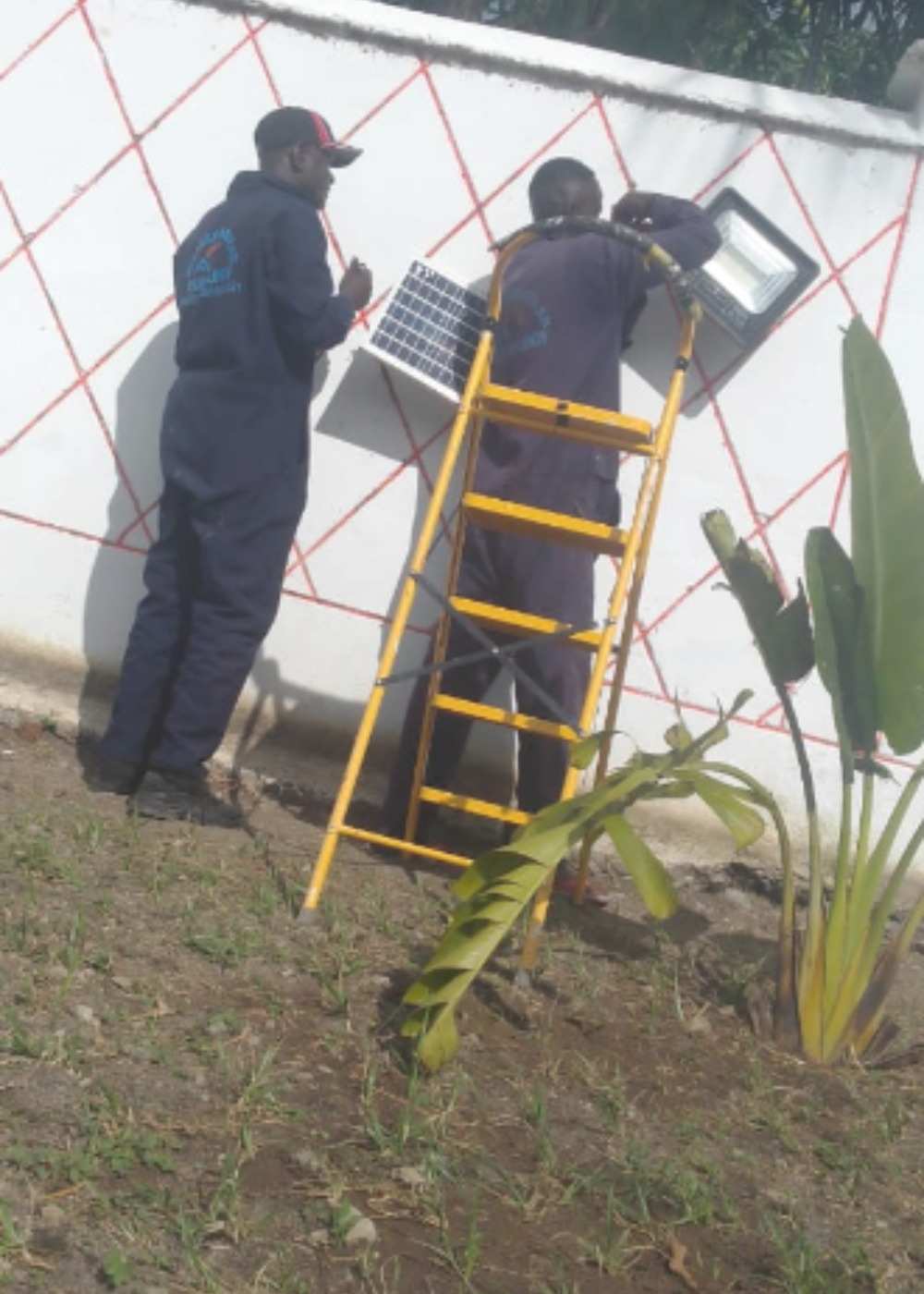 Untitled design - 2024-11-30T122347.645